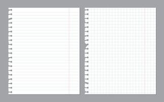 Realistic notebook paper sheets with damaged border. Blank spages of squared and lined paper isolated on gray background. Abstract concept graphic elements vector