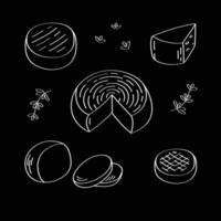 Hand drawn sketch of white cheese on black background. Different types of cheese in doodle style. vector