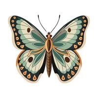 Colotis Danae Stunning Representation vector