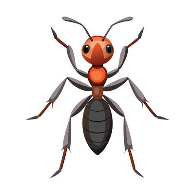 Harpegnathos Venator Engaging Design