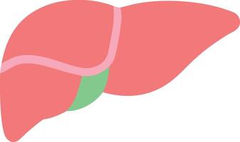 Nature-Inspired Liver Design with Earthy Tones and Textures vector