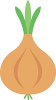 Unique Cross-Section Onion View vector