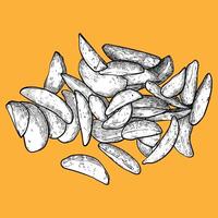 Hand drawn top view wedges. Tasty yellow orange crispy wedges with black outline, white fill in separate groups. The middle wedges are merged. This asset is ready to use and easy to edit. vector