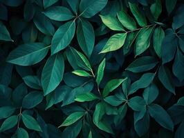 Diverse green leaves creating a lush, vibrant natural backdrop photo