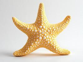 Starfish resting on a light background near the ocean shore photo