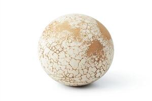 Unique spherical object with textured surface and natural colors photo