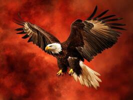 Eagle soars against a dramatic fiery background in mid-flight photo