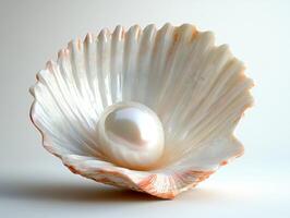 Pearl in a scallop shell on a light background photo