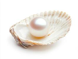 Beautiful pearl resting in a scallop shell on a white background photo