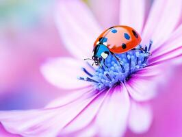 Colorful ladybug perched on vibrant flower in a garden photo
