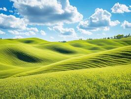 Rolling green hills under a bright blue sky with clouds photo