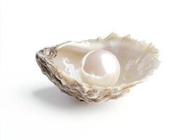 Stunning pearl nestled in a beautiful oyster shell photo