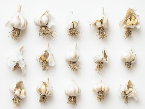 Fresco ajo bombillas arreglado en un blanco antecedentes foto