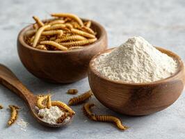 Bowl of insects and flour on a gray surface for culinary purposes photo