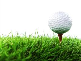 Golf ball ready for tee-off on a sunny day in green grass photo