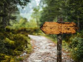 Signpost directing hikers along a forest trail in nature photo