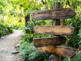 Wooden signpost stands amidst greenery along a forest path photo