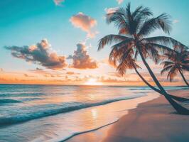 Tropical sunset over a serene beach with swaying palm trees photo