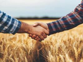 Two farmers shake hands in a wheat field during sunset photo