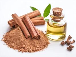 Cinnamon sticks, powder, and essential oil arranged on a white surface photo