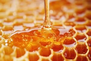 Honey dripping from honeycomb in a natural setting photo