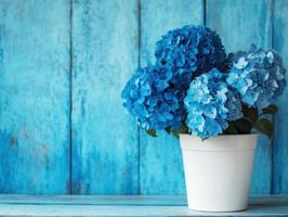 Vibrant blue hydrangeas in a white pot against a rustic blue backdrop photo