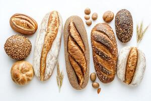 Artisan breads displayed on white, highlighting variety and texture photo