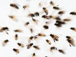Swarm of bees in motion captured against a bright background photo