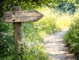 Wooden signpost guiding the way through a green path in nature photo