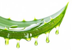 Aloe vera leaf with dripping gel harvested for skincare photo
