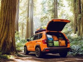 Packed car ready for adventure in lush forest surroundings photo