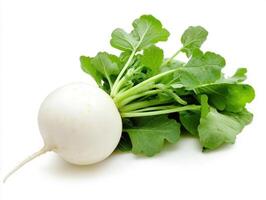Fresh white radish with green leaves on a plain background photo