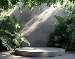 Minimalist indoor garden with concrete platform surrounded by greenery photo