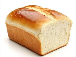 Freshly baked loaf of white bread on a plain background photo