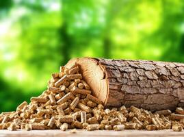 Wood pellets spilling from a log in a forest setting photo