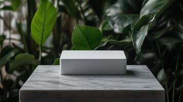 Minimalist white box placed on a marble surface surrounded by lush green plants in a well-lit setting photo