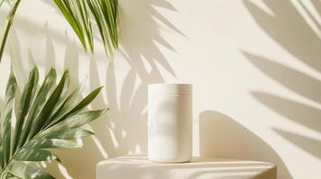Minimalistic container with tropical leaves casting shadows in a bright, natural setting during daylight hours photo