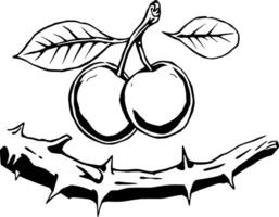 Two Cherries with Leaves Resting on a Thorny Branch Illustration vector