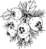 Stylized Illustration of a Branch with White Berries and Red Accents vector