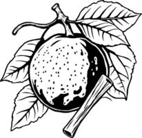 A Detailed Line Drawing Of A Ripe Citrus Fruit On A Branch With Leaves And A Cinnamon Stick vector