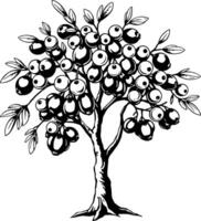 A Lush Black And White Illustration Of A Blueberry Tree Abundantly Laden With Ripe Berries vector