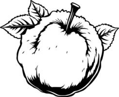 A Detailed Line Drawing Of A Single Apple With Leaves vector