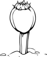Line Drawing Of A Single Poppy Seed Pod Emerging From Soil vector