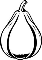 Simple Line Drawing Of A Single Bulb Of Garlic vector