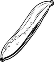 A Detailed Line Drawing Of A Banana With Dripping Liquid vector