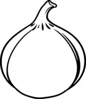 Simple Line Drawing Of A Single Ripe Fig Fruit vector