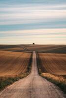 A long, winding dirt road stretches towards a single building on the horizon, flanked by expansive fields under a sky with soft, streaky clouds. photo