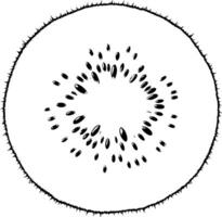 Vibrant Cross-Section of a Ripe Kiwi Fruit Showing Detailed Texture and Seeds vector