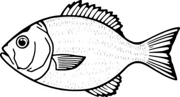 Detailed Line Drawing Of A Single Fish Side View vector