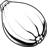 Detailed Illustration Of A Vibrant Green Seed Pod Showing Intricate Textured Surface And Defined Segments vector